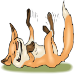Fox Laughing 1