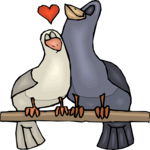 Pigeons in Love