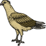 Bird 098