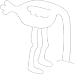 Ostrich 3