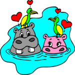 Hippos & Birds in Love