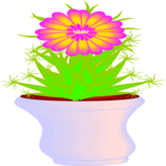 Cactus with Flower 3