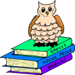 Owl on Magic Books