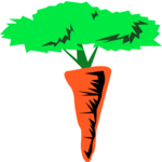 Carrot 09