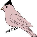 Bird Perched 19