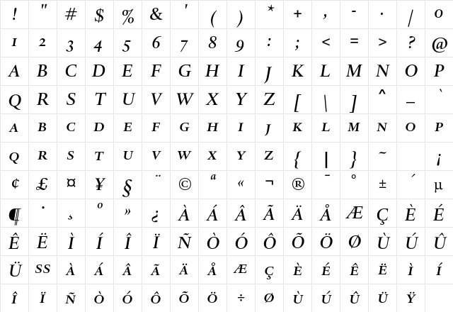DTLHaarlemmerDCaps MedItalic Character Map