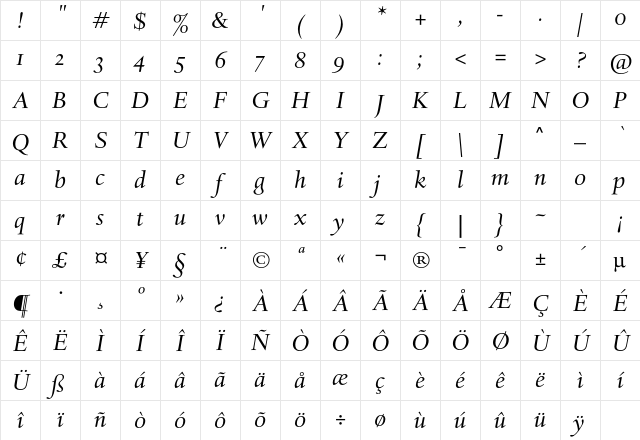 DTLHaarlemmerSD Italic Character Map