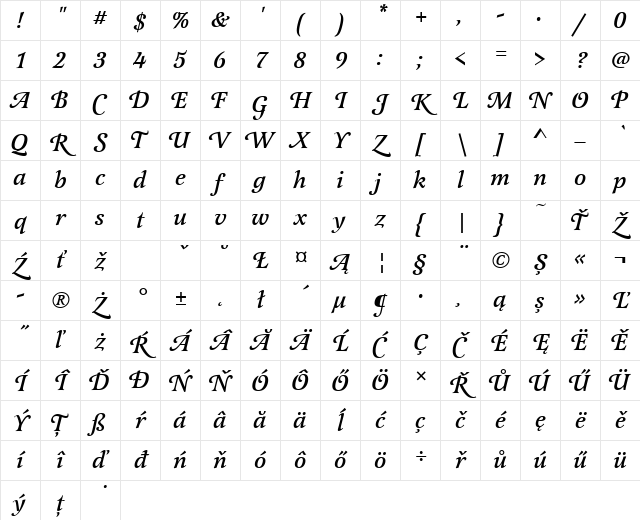 LatienneSwaTEEMed Italic Character Map