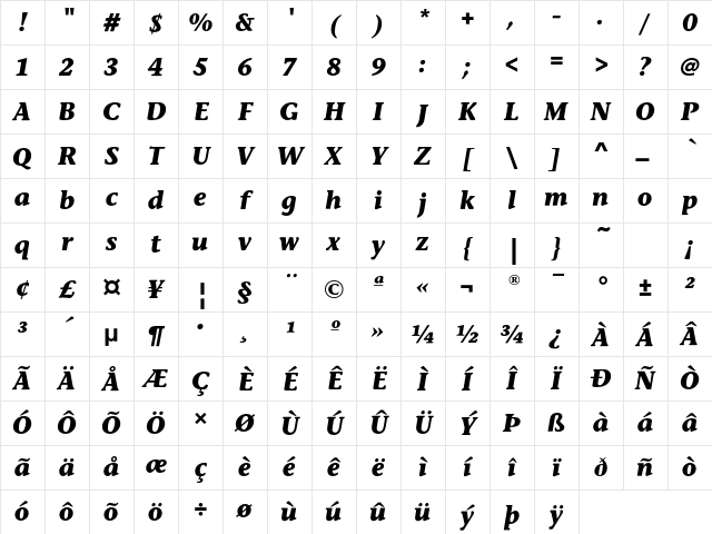 StoneInforEF BoldItalic Character Map