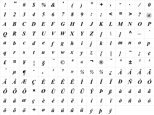 Times New Roman Bold Italic Character Map