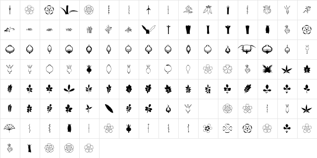 BOTAROSA1 Regular Character Map BOTAROSA1 Regular Character Map