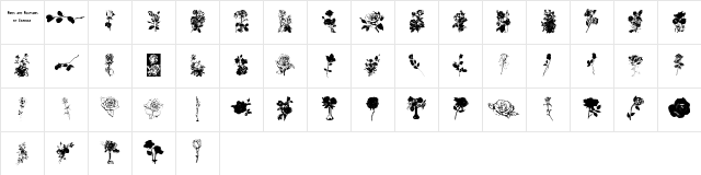 Buds and Blossoms Regular Character Map