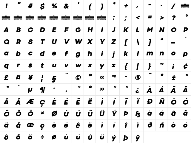 Codec Cold Heavy Italic Character Map