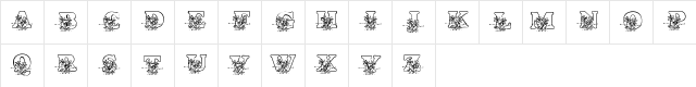 New Regular Character Map