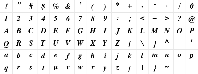 New2Times Bold-Italic Character Map