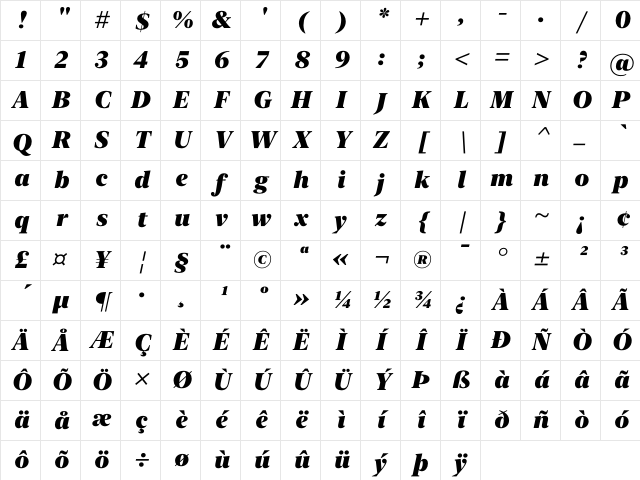 New York Extra Large Black Italic Character Map