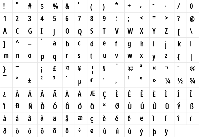 NotoSansDisplay NF Regular Character Map