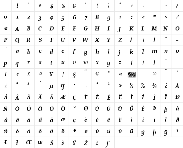 Oldstyle Bold Italic Character Map