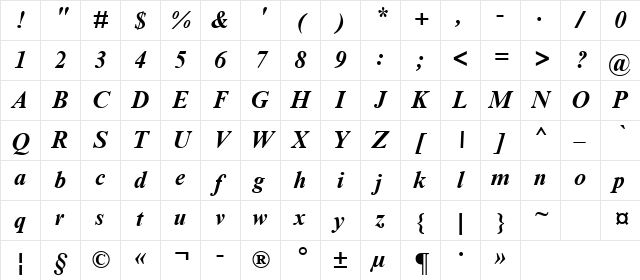 Times New Roman Cyr Bold Italic Character Map