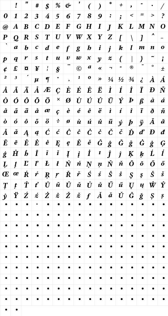 DB Serif Bold Italic Character Map