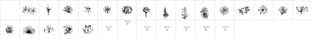 Tupiniquim  Flora Regular Character Map
