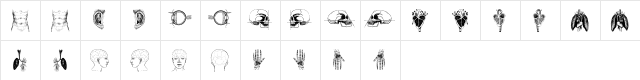 the body, vol. I Regular Character Map