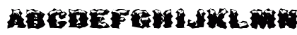 WACKY29 EX HU Normal Preview