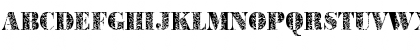 BodoniPlant2 Regular Font