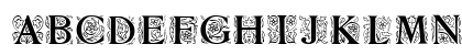 Zallman Caps Uppercase Preview