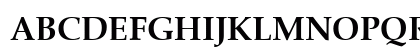 Zapf-Calligraphic801 HU Bold Preview
