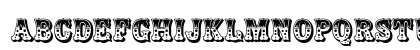 Zebrawood-Regular Regular Uppercase Preview