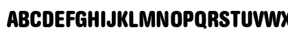 AG Book Rounded Bold Condensed Preview