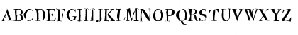 Brandomi Regular Font