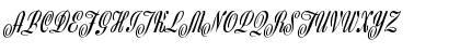 Z650-Script Regular Font