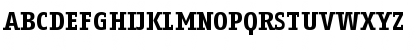 Fago Office Serif Bold Font