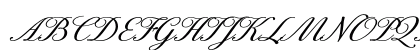 ExcelsiorScript TextExtended Preview