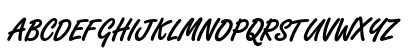 Freestyle Script Std Bold Preview