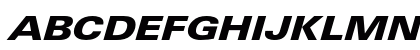 LinotypeUnivers ExtdBlackItalic Preview
