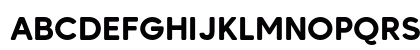 MADE Carving Soft PERSONAL USE Bold Preview