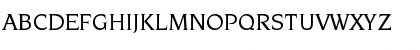 Newake Demo Uppercase Preview