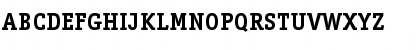 ITC Officina Serif LT Bold Font