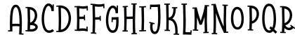 Raccoon Serif Demo Regular Preview