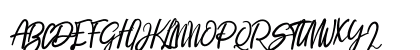 Signature Regular Preview