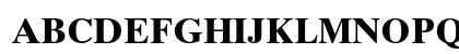 Times Ten Cyrillic Bold Preview