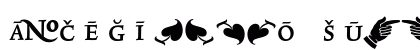 TriniteNo1 MediumCondensedPi Preview