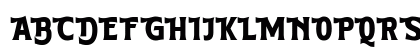 Boldern Regular Uppercase Preview