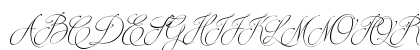 Brotherhood Script Regular Preview