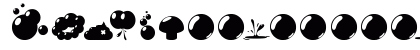bubble Regular Preview