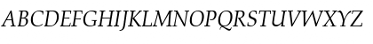 URWPalladioTEE Italic Font