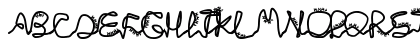 Chlorinej Regular Preview